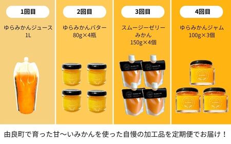 【定期便】farm＆lab 厳選！みかんアイテム定期便（全4回お届け） / ミカン みかんジュース みかんバター スムージーゼリー みかんジャム 由良町 和歌山【fmlb-tkb001】