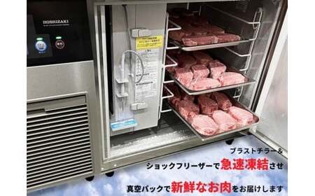 10ヶ月連続「定期便」佐賀牛 シャトーブリアン（200g×5枚）【陶窯みかわや】最高級 希少部位 ブランド牛 霜降り お肉の女王 定期便 ヒレ 200万円 高額 N2000-4