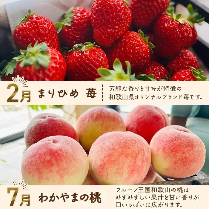 わかやま旬のフルーツ定期便[S] 全4回 2～3・7・10・11～12月発送 家庭用［MS123］