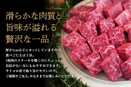佐賀牛 希少部位焼肉用600g サイコロステーキ600g(H122118)