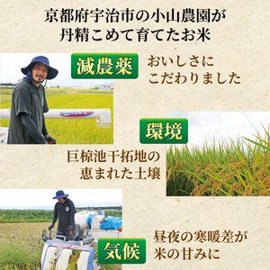 令和7年産 ヒノヒカリ 5kg 白米 宇治 ごはん 白米 お米 米 コメ こめ はくまい 宇治 ごはん ひのひかり 一等品 京都府産 京都 京都府 ふるさと納税米 数量限定