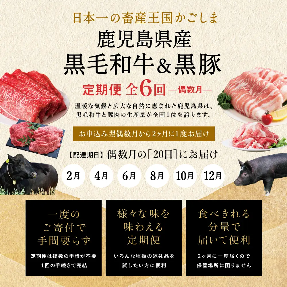 【定期便 全6回】スターゼン厳選お肉の定期便（鹿児島県産黒毛和牛・黒豚） 牛肉 豚肉 サーロイン ステーキ 切り落とし しゃぶしゃぶ 焼肉 すき焼き もも モモ バラ ロース スライス 小分け 定期便 冷凍 スターゼン 南さつま市