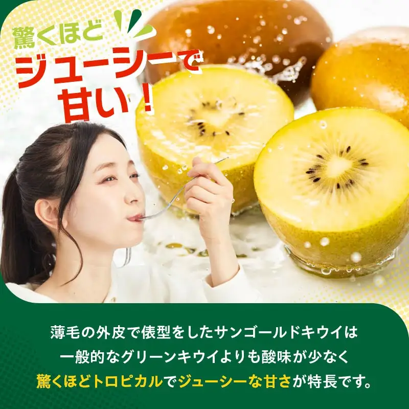 【先行予約】2026年度発送 三重県玉城町産 ゼスプリ サンゴールドキウイ 約1kg(贈答用)