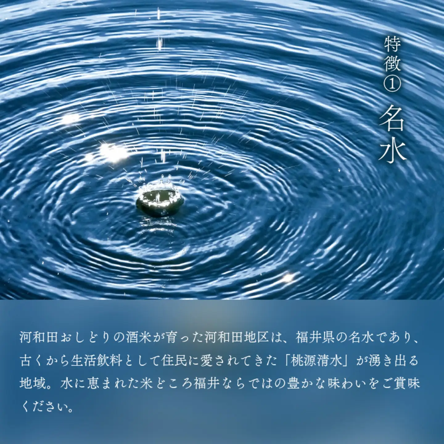 【数量限定】梵コラボ 純米大吟醸 地酒『河和田おしどり』