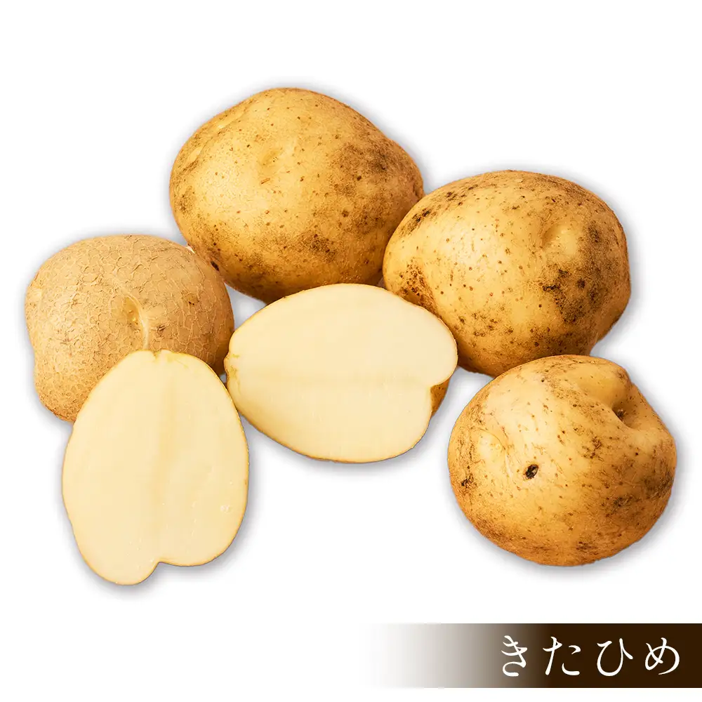 2026年産 先行予約 北海道産 新じゃが じゃがいも きたひめ 5kg 北海道 上士幌町 須田農場 野菜 ジャガイモ 馬鈴薯 産地直送 ◆2026年9月中旬発送開始予定