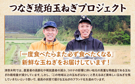 玉ねぎ つなぎコハク玉ねぎ 約10kg《4月中旬-5月中旬出荷》熊本県 葦北郡 津奈木町 つなぎ琥珀玉ねぎプロジェクト 野菜 たまねぎ