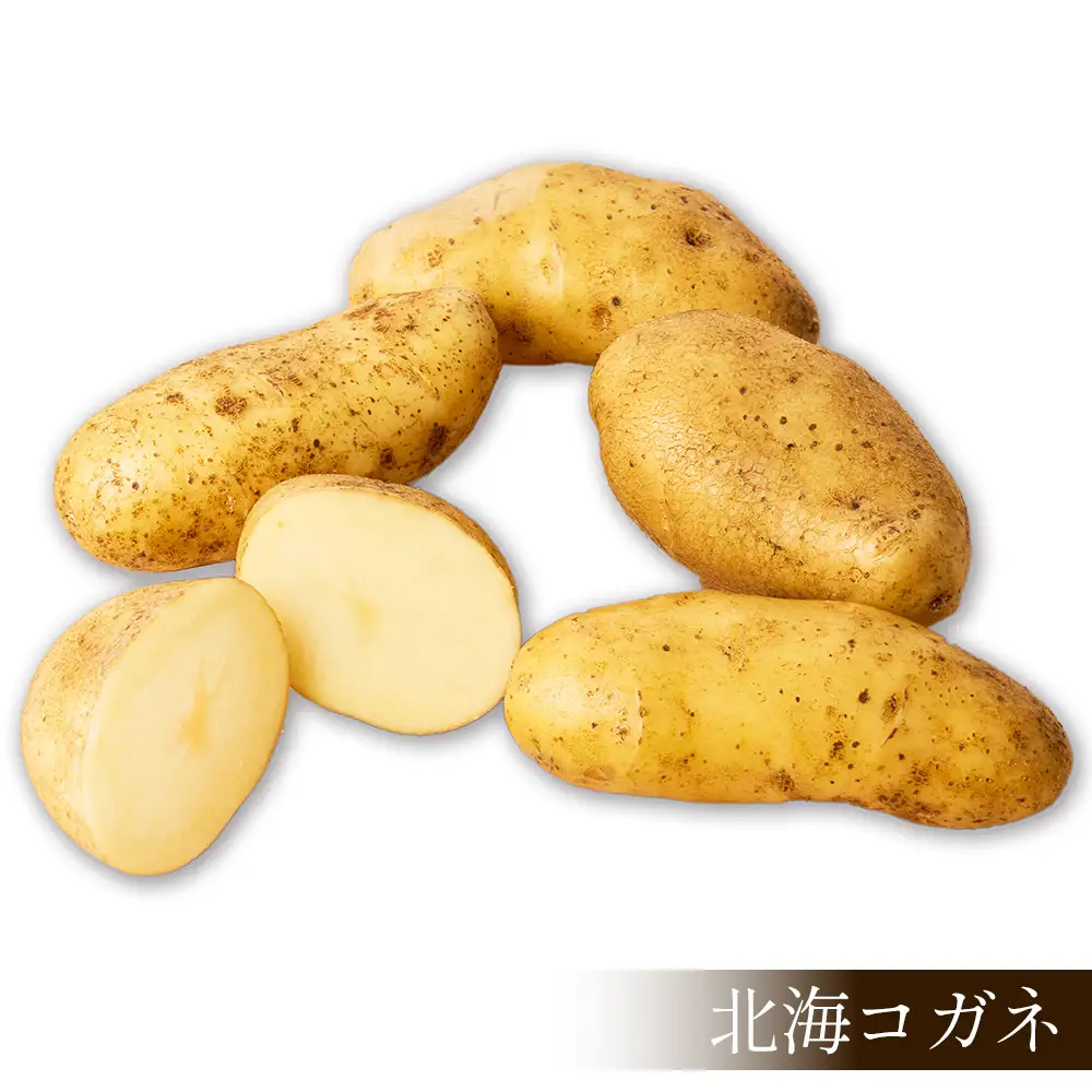 2026年産 先行予約 北海道産 新じゃが じゃがいも ホッカイコガネ 5kg 北海道 上士幌町 須田農場 野菜 ジャガイモ 馬鈴薯 北海こがね 産地直送 ◆2026年9月下旬発送開始予定
