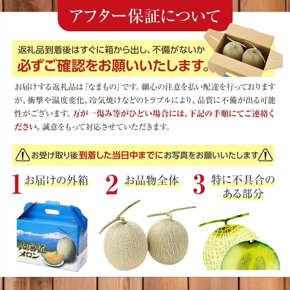 【先行予約】 北海道産青肉メロン1.6kg×2玉 (2026年7月中旬から発送)  | メロン_05291