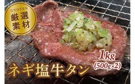 葱塩牛タンスライス500g×2