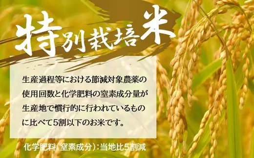 コシヒカリ（特別栽培米）玄米 30㎏【002115C】