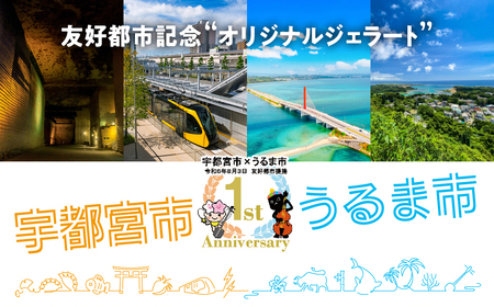 ユアジェラート 宇都宮市×うるま市友 好都市記念 オリジナルジェラート 6個セット｜とちあいか いちご マンゴー きび糖 沖縄 琉球 人気 ジェラート 詰め合わせ アイス スイーツ 果汁100% フルーツ プレゼント ギフト