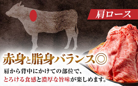 【6回定期便】飛騨牛肩ロース 400g×1パック すき焼きしゃぶしゃぶ用肉 [AVBO031]