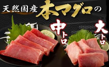 天然本マグロ 中トロ 大トロ 1kｇ本鮪 まぐろ 食べ比べ 国産鮪 天然鮪