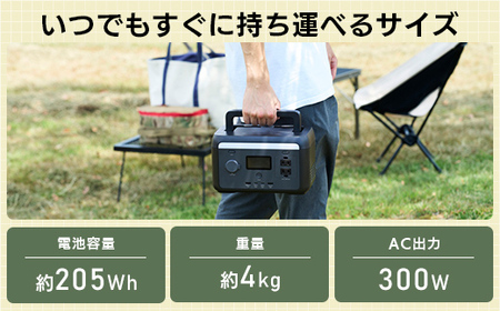 【120-09】ロジテック ポータブル電源 200P 容量 205Wh AC出力 300W【DE-PS200PLBK】