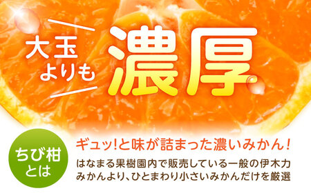※【2026年10月下旬より順次発送／先行予約】伊木力みかん(ちび柑) 5kg / みかん s みかんsサイズ ミカン 蜜柑 柑橘 フルーツ ふるーつ 果物 くだもの / 諫早市 / 山野果樹園 [AHCF013]