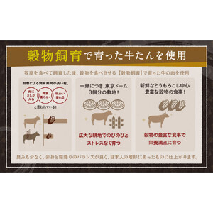 仙台発祥 牛タン 7mm 塩味 500g×2 牛タン