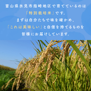 〈令和7年産 特別栽培米〉 富山県産コシヒカリ 10kg 鰤の里 白米