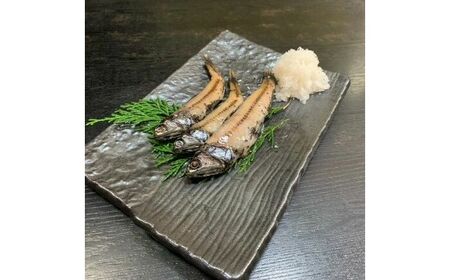 【お試し用】 珍魚 高知産ハダカイワシ干物 約200g×3パック / ハダカイワシ ヤケド 高知グルメ 高知市 深海魚 魚料理 おうちごはん 家飲みおつまみ 珍味 おつまみ 下味付き 【アジアマリン】[ATCM004]