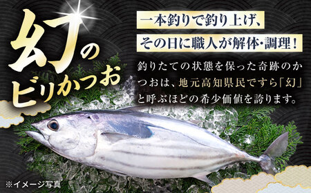 【冷凍】 びりガツオたたきと刺身 約250g/節 2節 冷凍 鰹カツオ 魚 さかな 海鮮 魚介類 本場 土佐 個包装 ふるさと納税カツオ 高知県 高知市 刺し身 天然 【ゆず庵2】[ATHM003]