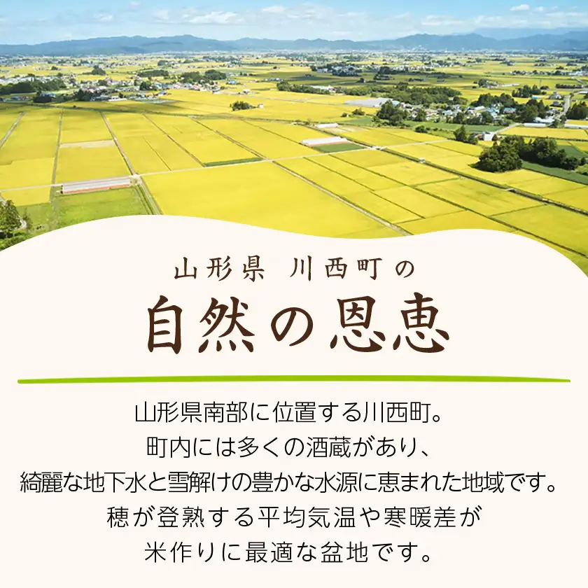令和7年産　山形県産　雪若丸　玄米　10kg(5kg×2袋)【1660788】