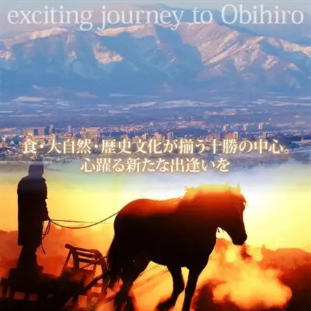【北海道ツアー】帯広市 後から選べる旅行Webカタログで使える!旅行クーポン 30万円分【1181754】