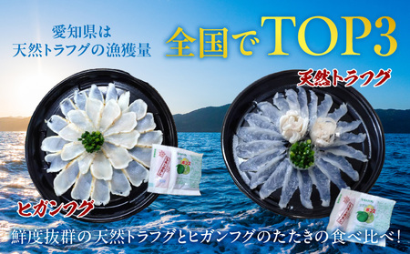 三河産天然トラフグ刺身とヒガンフグたたきの食べ比べセット・U047
