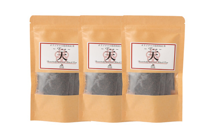 【12ヶ月定期便】　焙煎和紅茶 ～ Ten ～ 天 3個 セット 12回 計864g （72gx12回） 1回あたり72g （2gx12個入×3袋） 紅茶 和紅茶 ティーパック 国産 熊本県 水俣市