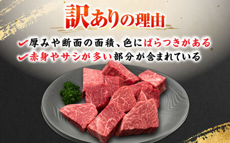 【訳あり】博多和牛ヒレサイコロステーキ 600g [BGAM011]サイコロステーキ