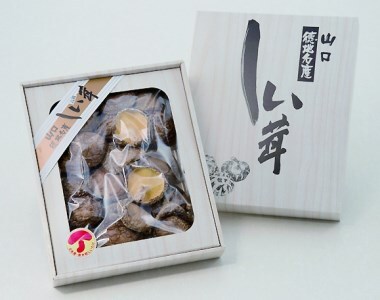 D190 山口徳地産原木栽培乾しいたけ120g