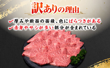 【訳あり】博多和牛ヒレ焼肉用 600g [BGAM012]牛肉 焼肉