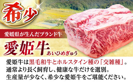 【真空冷凍】 愛姫牛バラ肉の牛丼×10食 1,5kg [AGCC065]