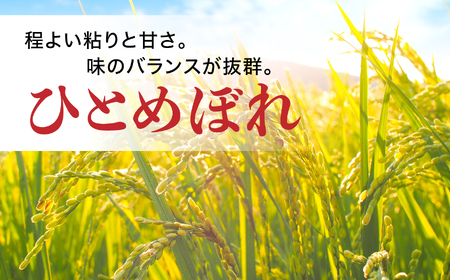 無洗米 ひとめぼれ 60kg (5kg×12袋)   |  無洗