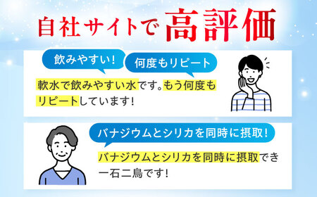 ミネラルウォーター【全6回定期便】VanaSilica Water 24本[AOEH016]ミネラルウォーター