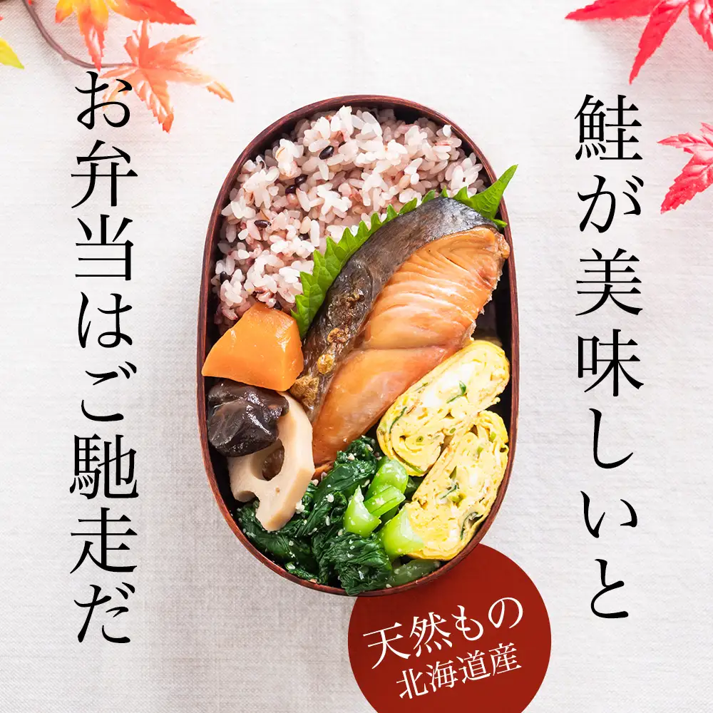 ☆北海道産 塩サケ切り身 3kg