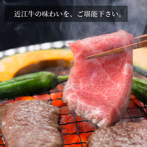 近江牛 焼肉 人気部位 食べ比べ（カルビ・赤身）計800g（各400g×2） ギフトにも 牛長商会 みんなのお肉本舗｜滋賀県野洲市 お取り寄せグルメ ご当地 ご当地グルメ 肉 お肉 にく 牛 牛肉 ビーフ 近江牛 和牛 たべくらべ   ｜