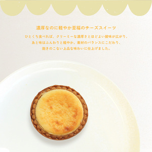 チーズタルト 冷凍  12個入 チーズな時間 タルト