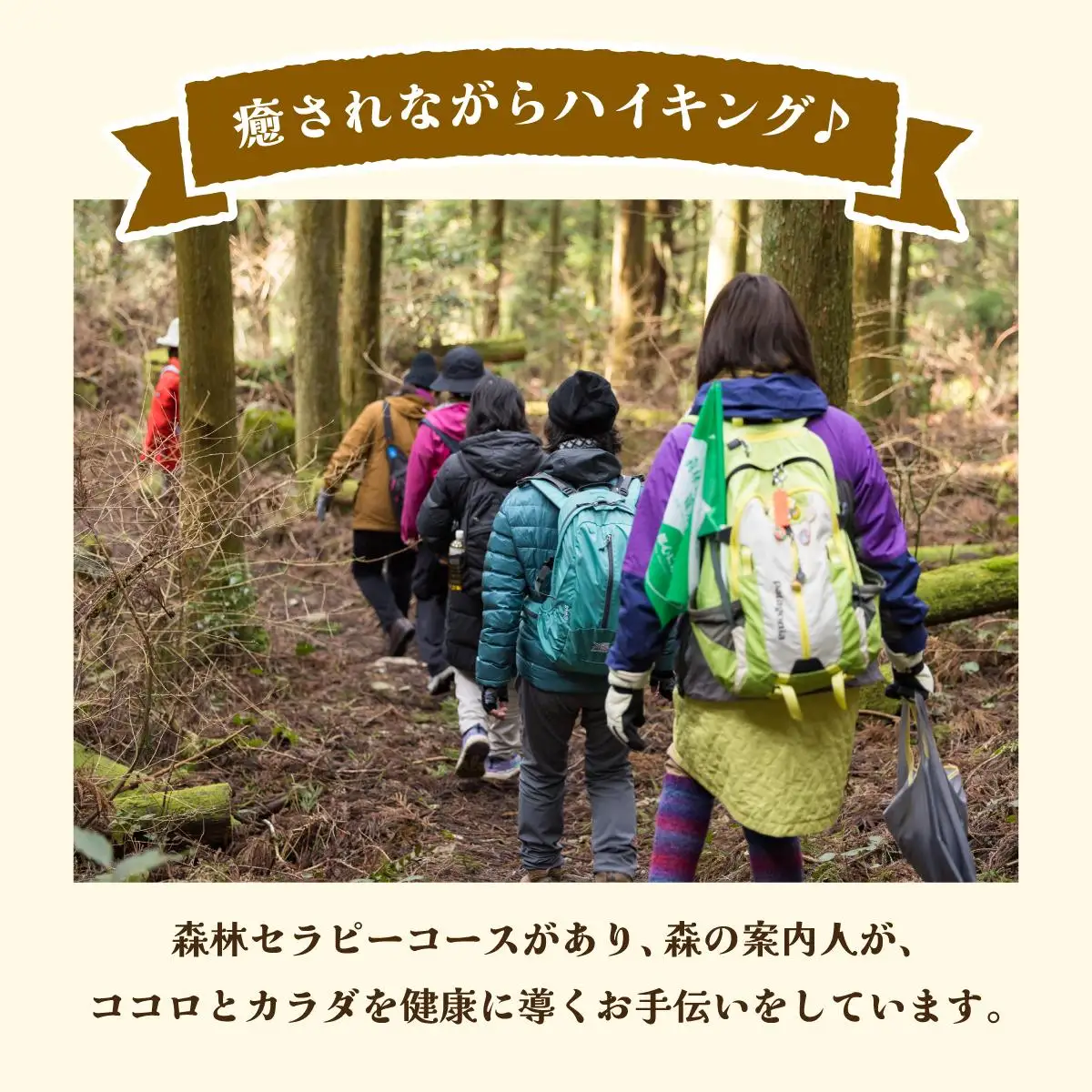 森林セラピー＆スワッグ（苔玉）づくり体験2名様 FZ006 
