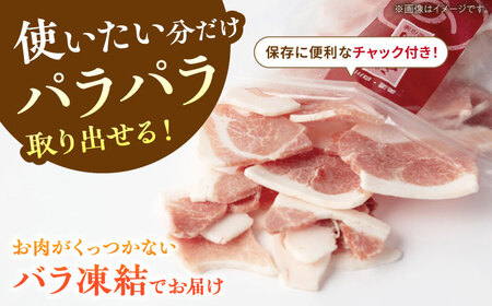 《バラ凍結》肩ロース薄切り 1.1kg 豚肉 白川町 / 藤井ファーム[AWAF045]