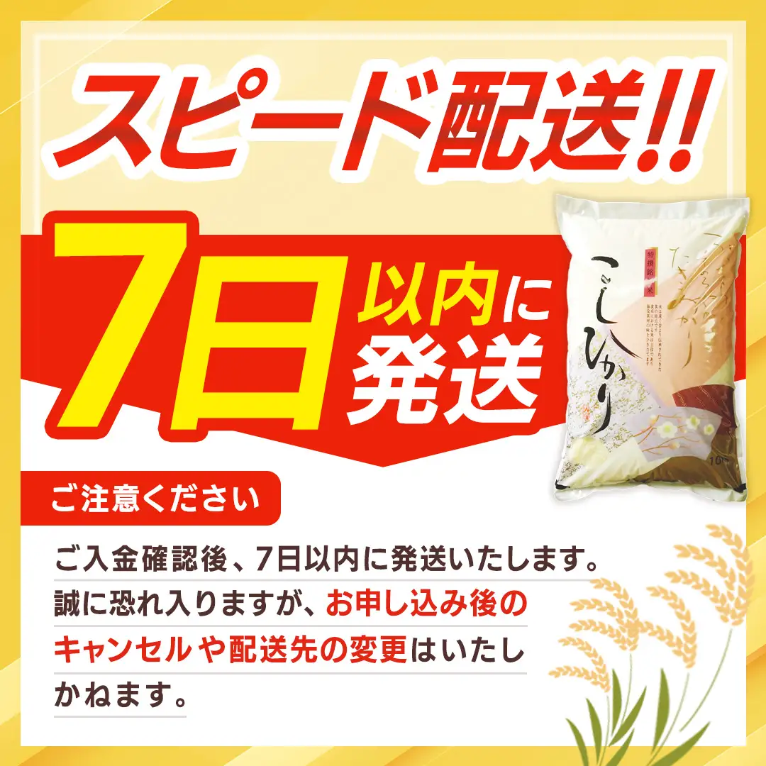 ≪ 令和7年度 ≫ コシヒカリ 精米 5kg ( 5kg × 1袋 ) (茨城県共通返礼品 かすみがうら市産) 米 ごはん もっちり 甘い コメ お米 白米 銘柄米[EX010sa]