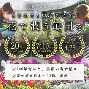 A059 花 定期便 花うるる ハンギング 寄せ植え プレミアムコース全6回 (サブスク ハンギングバスケット 屋外 春 夏 秋 冬 母の日 定期購入 ギフト フラワー 玄関 プレゼント 通販 鉢植え おしゃれ 玄関 ガーデニング フラワーギフト 完成品 花苗 寄植え 園芸 お花