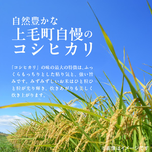 【先行受付】令和8年産　上毛町産　東農園のこだわり米　コシヒカリ　5kg _HGS0207