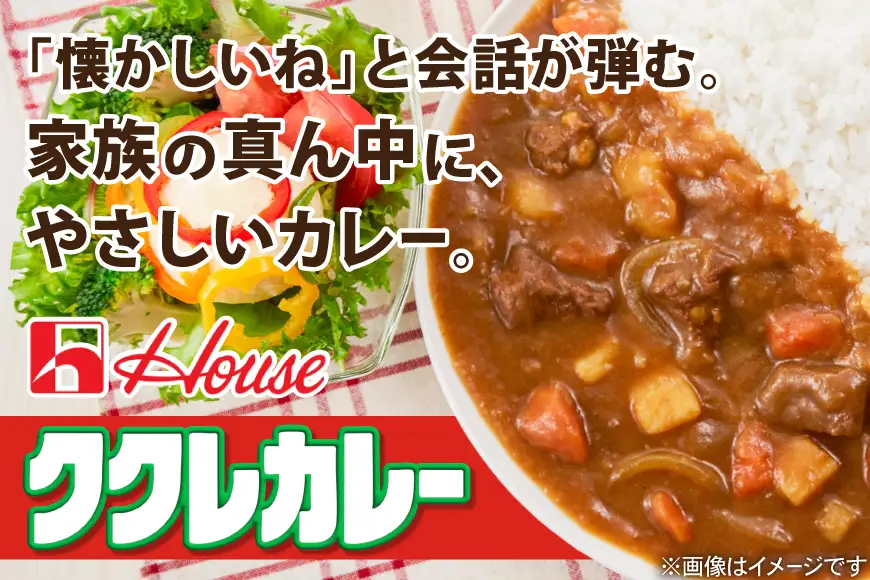 ハウス ククレカレー中辛＆バーモントカレー中辛 各10個 [翔栄通商 愛知県 江南市 ko23btu570068]