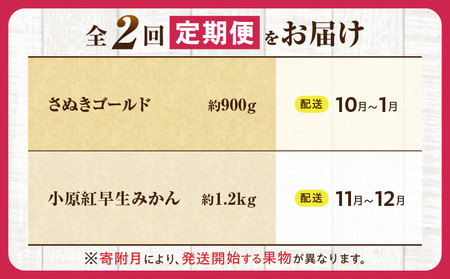 とれたて果物 2回定期便H |果物 フルーツ 果物定期便 フルーツ定期便 定期便 キウイみかん 濃厚 旬の果物 定期 人気 おすすめ 贈答 贈り物 青果物 糖度 香川県 |_mk165-t058