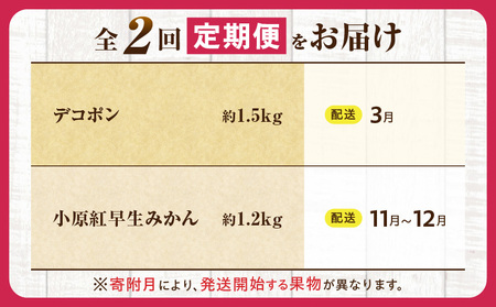 とれたて果物 2回定期便K |果物 フルーツ 果物定期便 フルーツ定期便 定期便 デコポンみかん 濃厚 旬の果物 定期 人気 おすすめ 贈答 贈り物 青果物 糖度 香川県 |_mk165-t061