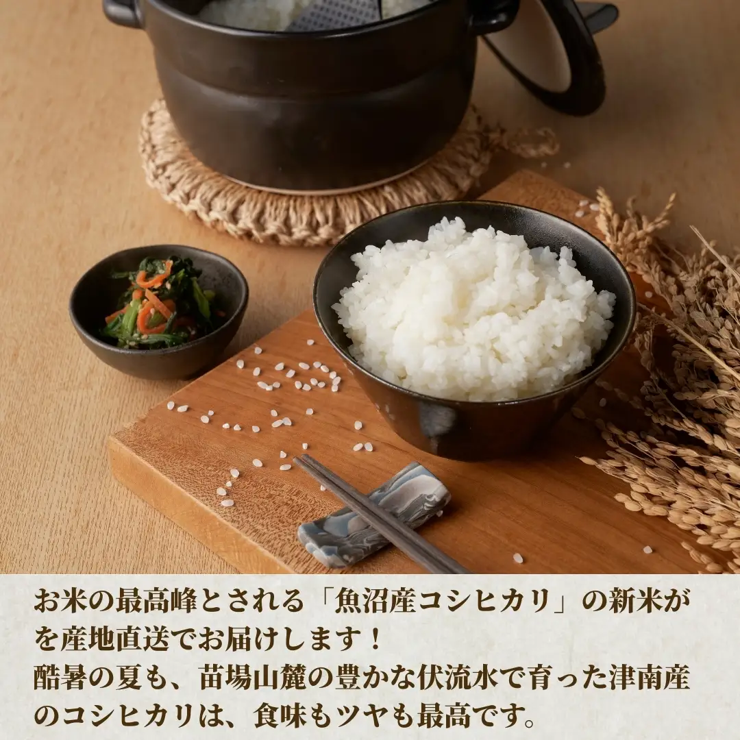 【6ヶ月定期便】令和7年産魚沼（津南）産コシヒカリ 3kg（3kg×1袋）(有)フジミヤ |津南町 魚沼産コシヒカリ