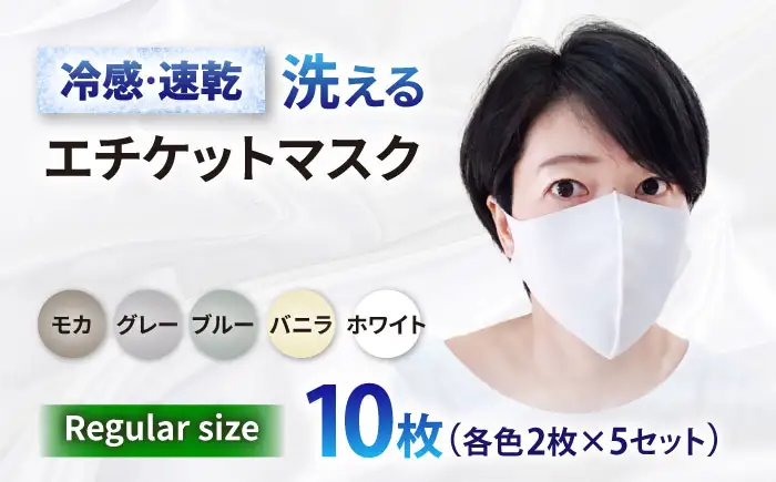 マスク エチケットマスク レギュラーサイズ 10枚 [ANEA008] マスク