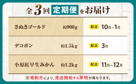 とれたて果物 3回定期便F |果物 フルーツ 果物定期便 フルーツ定期便 定期便キウイ デコポンみかん 濃厚 旬の果物 定期 人気 おすすめ 贈答 贈り物 青果物 糖度 香川県 |_mk165-t070