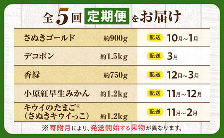 とれたて果物 5回定期便C |果物 フルーツ 果物定期便 フルーツ定期便 定期便キウイ デコポンみかん 濃厚 旬の果物 定期 人気 おすすめ 贈答 贈り物 青果物 糖度 香川県 |_mk165-t082