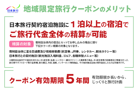栃木県日光市 地域限定旅行クーポン 9万円分 日本旅行 [0718]