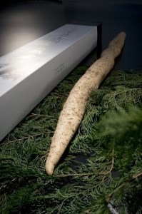 C042 ミライエfarm特級規格品質1本もの1キロ超え特大サイズ　最高級自然薯